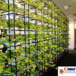 PLANTER WALL