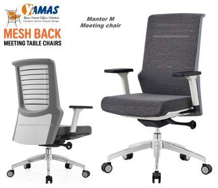Mantor GY M meeting chair