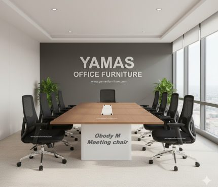 Obody M, Meeting Chair (2)