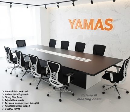 Zyleno M –Meeting Chair (2)