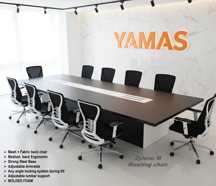 Zyleno M –Meeting Chair (2)