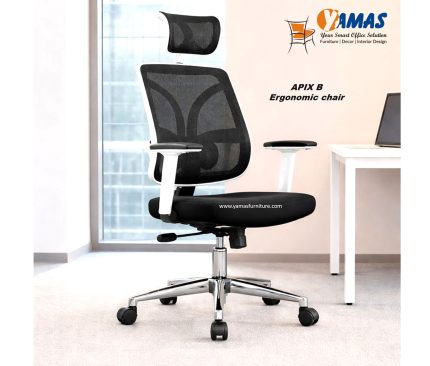 APIX B Revolving Ergonomic chair