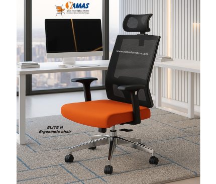 ELITE H Revolving Ergonomic chair (black)