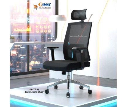 ELITE H Revolving Ergonomic chair (black)