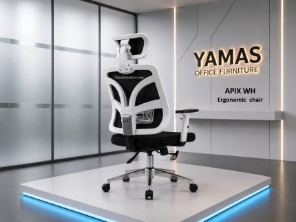 Executive Chair APIX WH Ergonomic Chair (2)