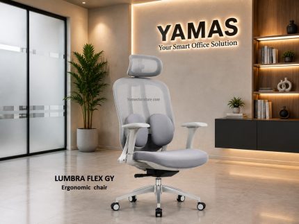 Executive Chair LUMBRA FLEX GY Ergonomic Chair (2)
