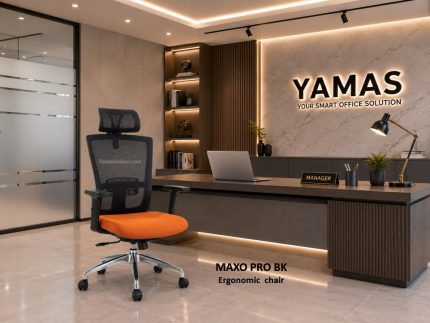 Executive Chair MAX PRO Ergonomic Chair (2)