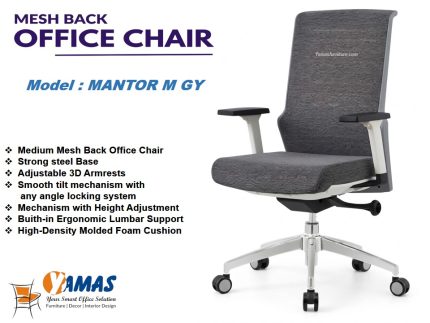 MANTOR M GY Staff Chairs (2)