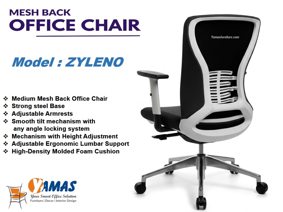 ZYLENO BK Staff Chairs (2)